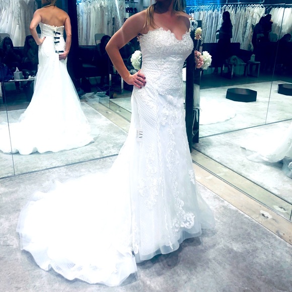 Madi Lane ROMANA Wedding Gown - Picture 10 of 12